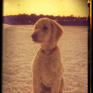 Meet your Posher, Maria